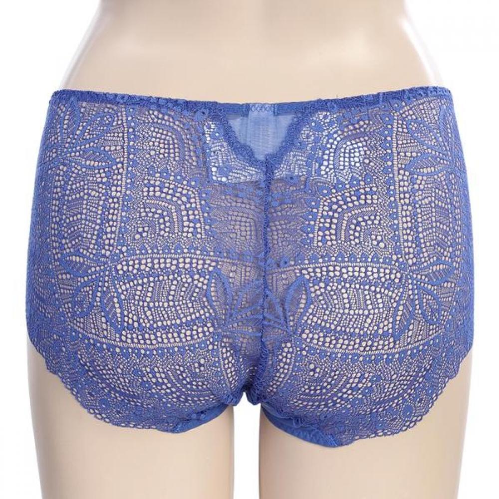 BARBARA Lace Briefs 2color Abp4457