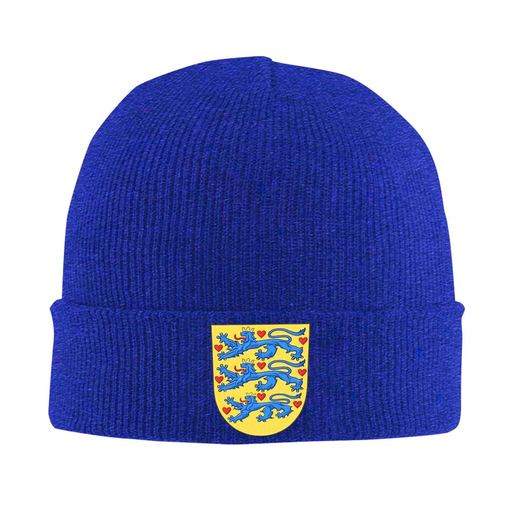 Denmark Coat of Arms Beanie Hats  Skullies Beanies Unisex Adult Funny Elastic Caps Winter Outdoor Pattern Bonnet Hats