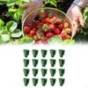 20 Pcs Strawberry Propagation Seedling Pots, Multipurpose for Transplanting, , Accessories, Side