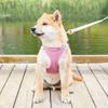Adjustable Dog Harness Leash Set Breathable Comfortable Cat Harness Vest Reflective Escape Proof Pet Collar Harness