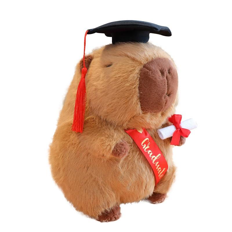 Graduate Plush Dolls Doctor Capybara Owl Bear Plush Toy Cute Stuffed Animal Toy Doll Soft Cartoon Pillow Graduation Gift
