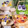 Yousheng 24 Stück Natürliche Gepresste Getrocknete Blumen DIY Kunsthandwerk Kuchenaufsatz Dekorieren Cocktails Harzschmuck Scrapbooking Lesezeichen Herstellen Bunt