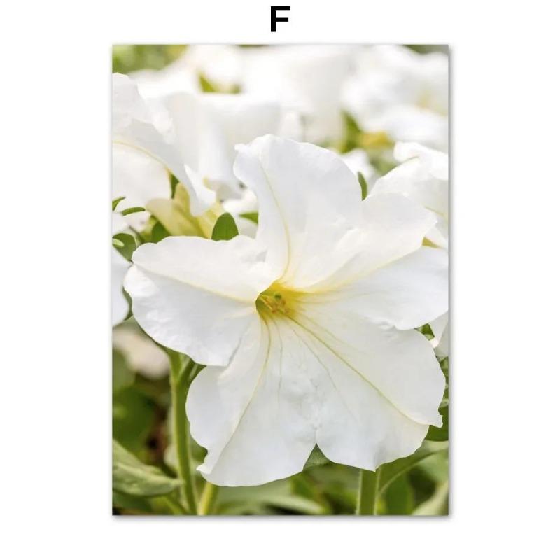 Classic Vintage Wall Art Sunflower  Daisy Farm Scenery HD Canvas Print Poster for Living Room  Bedroom Decor  Timeless Home Deco