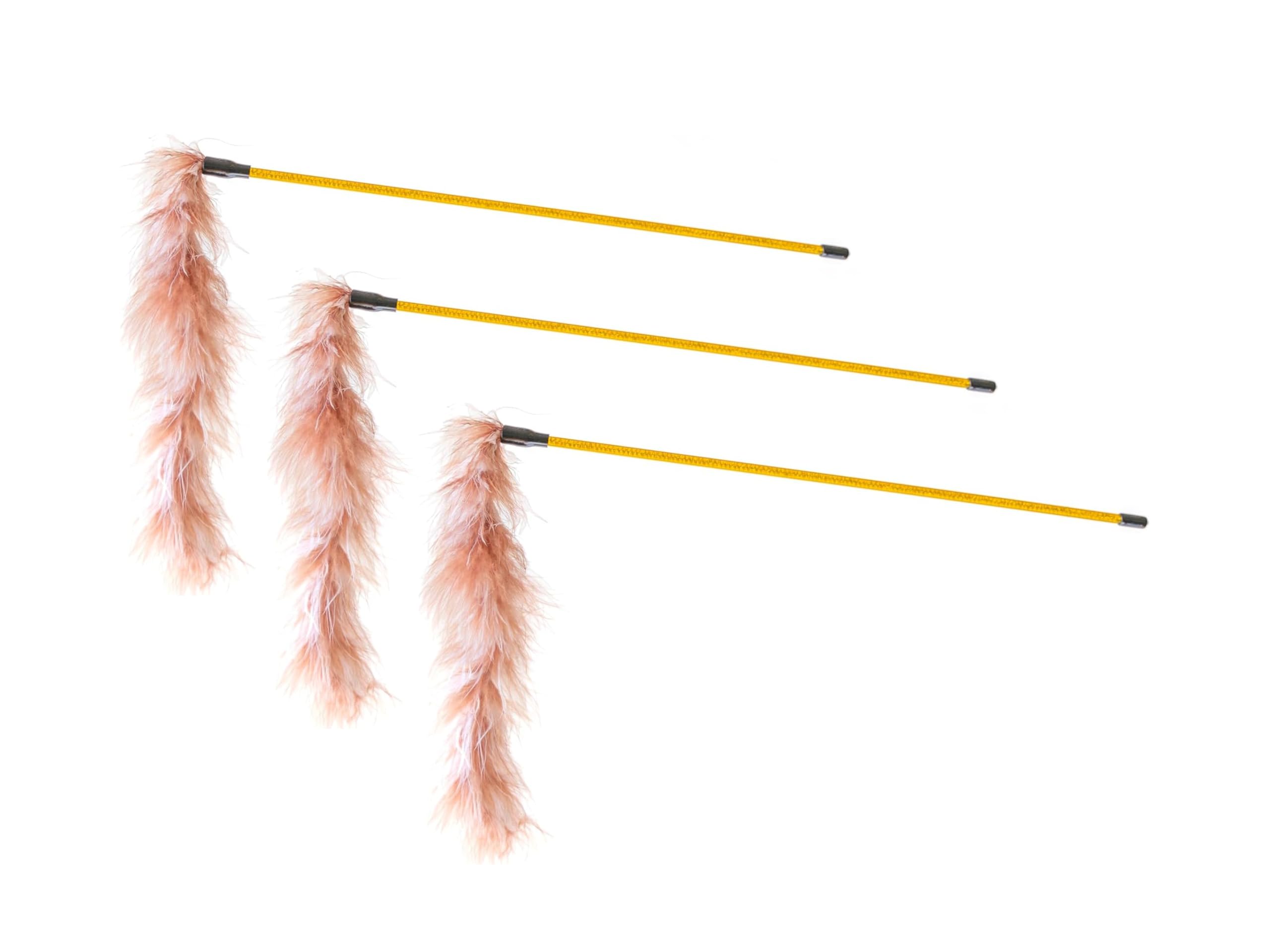 

Soft and Fluffy Turkey Feather Cat Toys, Set of 3