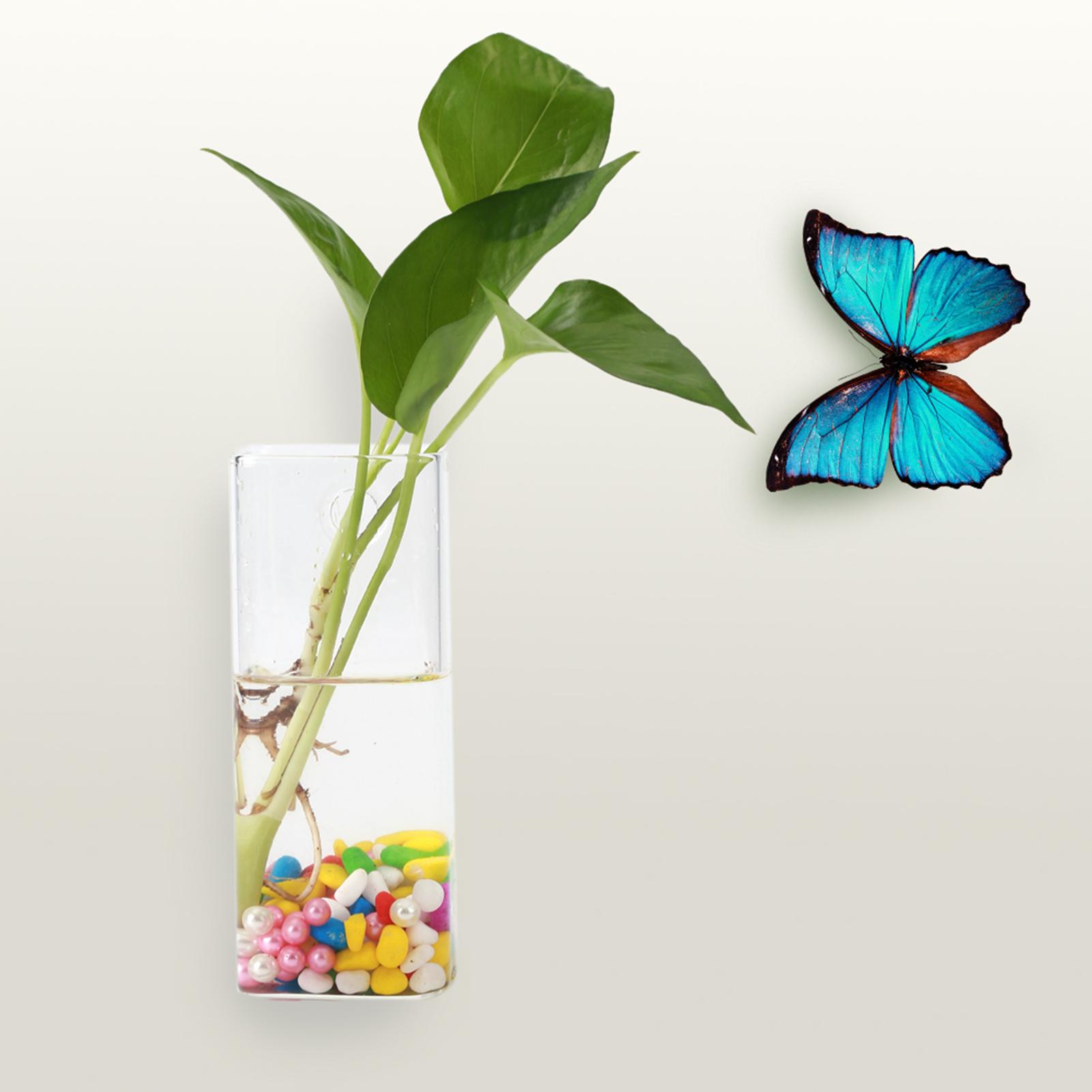 Hangende Planten Bloemen Glazen Vaas Muur Hydroponische Aquarium Container Huisdecoratie #1
