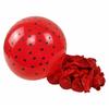 Thickened Strawberry Watermelon Balloons for Kids' Parties and Promotions