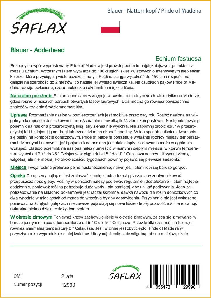 SAFLAX Pride of Madeira - 100 semen - Echium fastuosa