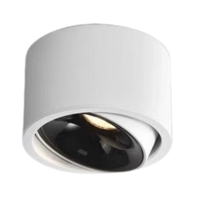 Adjustable LED Downlight