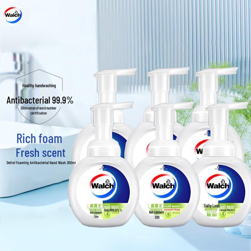 Walch Lime Foaming Antibacterial Hand Soap 6-Pack