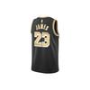 Nike LeBron James Lakers 2024 Select Series Casual Basketball Vest Men Tops Black Club-Gold FN5913-053