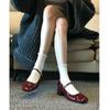Light Luxury Daughter Style Temperament Thick Heel Single Shoes Summer Skirt Height Increase Thin Thick Heel Mary Jane Shoes