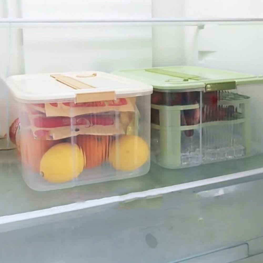Plastic Vegetable Fruit Storage Box Handheld Meat Freezing Box Refrigerator Storage Box  Picnic