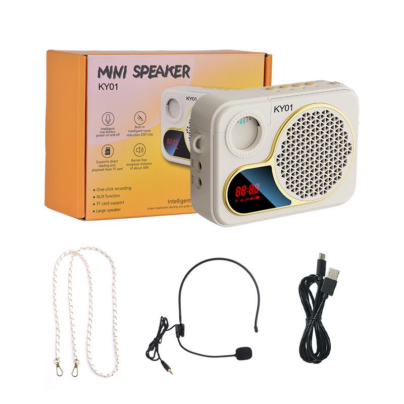 Portable Bluetooth Speaker & Lightweight Wireless Microphone for Teachers & Musicians