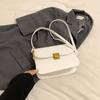 Women's bag women's 2025 new fashion simple messenger bag shoulder small square bag