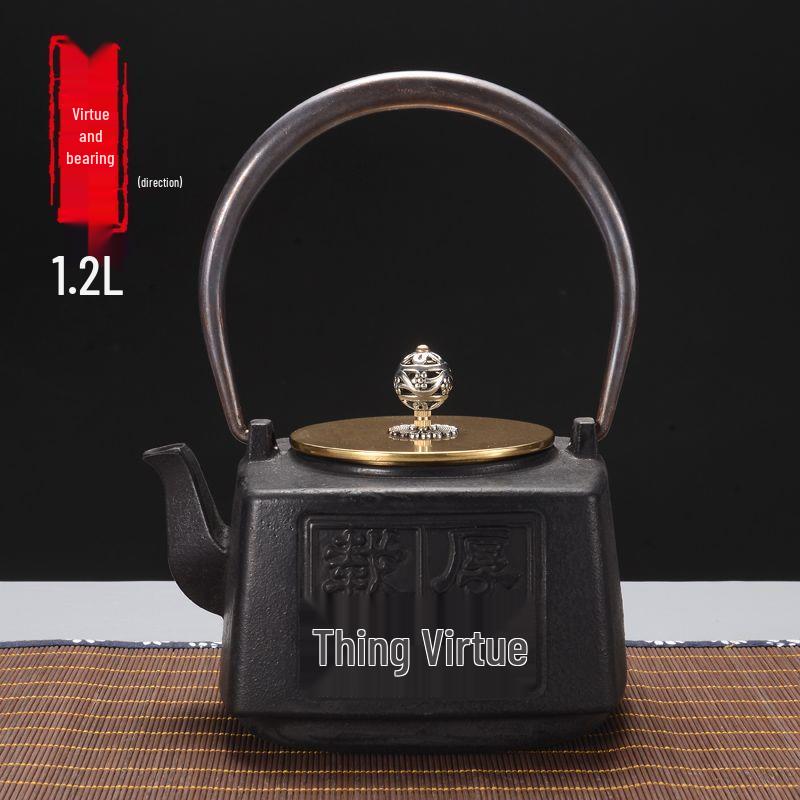 Hand-Forged Japanese Cast Iron Teapot for Gongfu Tea