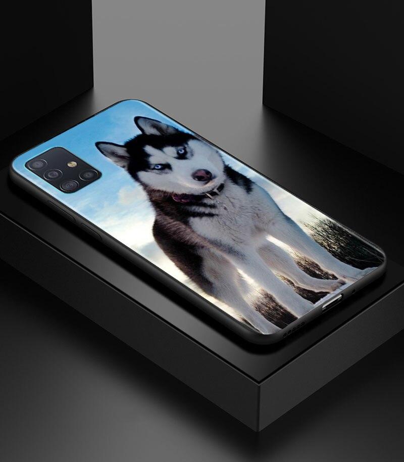 Alaskan Husky Dog Cute Puppy Phone Case for Samsung Galaxy A51 A71 A21S A12 A11 A31 A52 A41 A32 A72 A02S A01 5G Silicon Cover