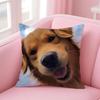 NICE CUTE Pembroke Welsh Corgi Dog Cushion Cover Pillow Case Soft Friendly Fabric  Concealed Zipper