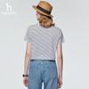 HAZZYS Women's Striped Contrast Crew Neck Short Sleeve T-Shirt
