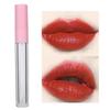 10pcs Refillable Lip Gloss Bottle   Empty Lip Balm Tube Container Makeup Tool Accessory (2.5ml/pc)