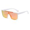 Men's and women's sunglasses, windproof and sand-proof summer outdoor sports sunglasses