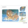 Art Nausicaä Valley Wind Hayao Miyazaki Watercolor Collection (Ghibli Series)