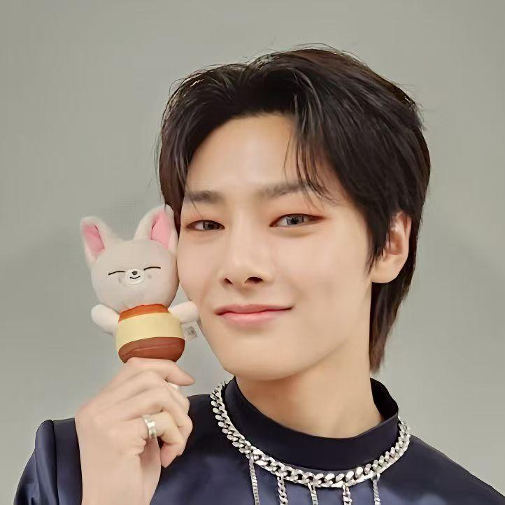 Nuevos Llaveros de Muñeco de Peluche de Stray Kids Figura Colgante Llavero Encanto Soporte para Llaves Decoración de Bolso