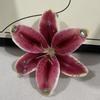 Exquisite Phalaenopsis Orchid Lily Keychain Creative Simulation Flower Bag Pendant  Backpack Decoration Accessories Gifts