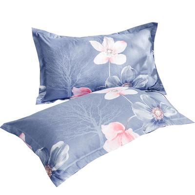Thickened Pillowcases for Adults (1 Pair) - 48x74cm, Ideal for Dorms