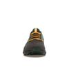 Nike NFL X Air Zoom Pegasus 40 Green Bay Packers Men Sneakers Black Anthracite Fir DZ5964-001