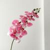 9 Head Latex Butterfly Orchid Artificial Flowers Hand Feeling Fake Flowers RoomTable Decoration Wedding Arrangement