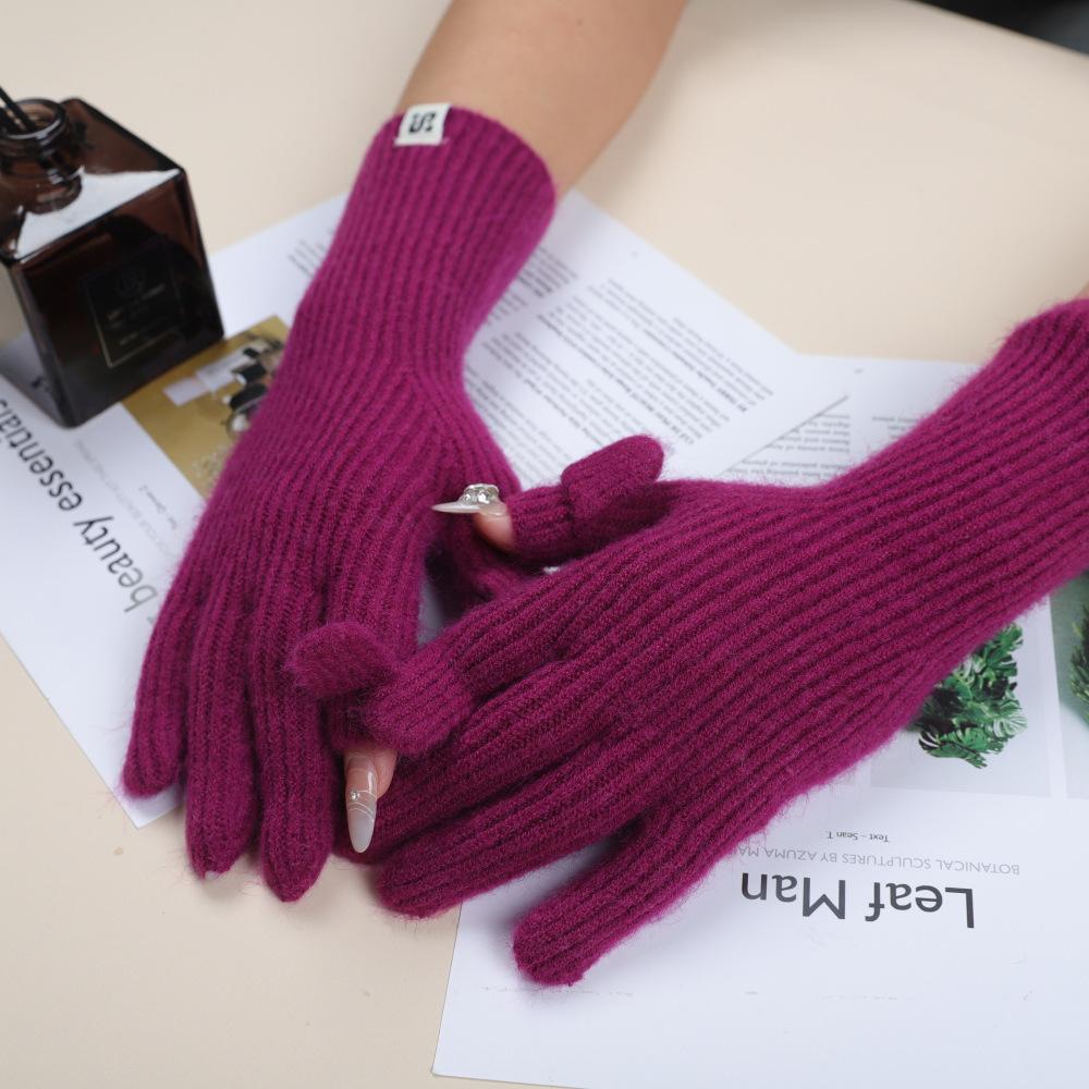 Touch Screen Gloves Autumn and Winter Warm Finger Gloves Thickened Warm Knitted Wool  Korean Student Gloves