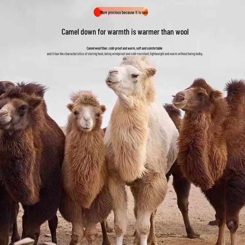 TUCANO Men's Winter Fleece-lined Thick Cotton Jacket