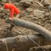 1/2PCS Portable Stainless Steel Wire Saw with Finger Handle Outdoor Camping Hiking Pocket Manual Cutting Chain Saws Survive Tool