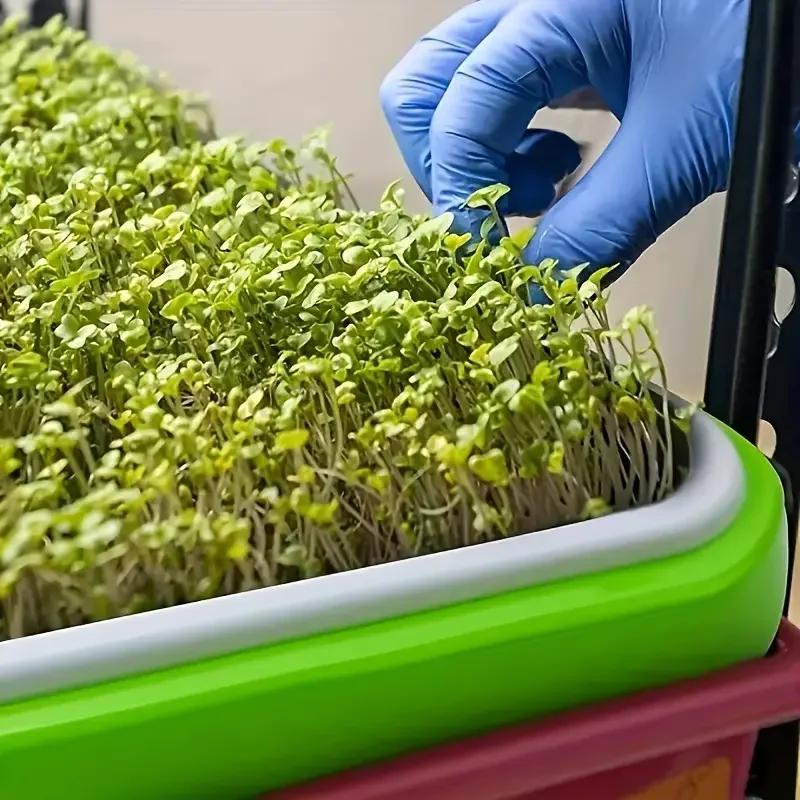 ZDQ003 Home Seed Germination Tray Seedling Planting Pot Wheatgrass Cultivation Soilless Tray for Gardening And Agriculture