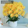 Artificial Phalaenopsis Floral Arrangement for Living Room Display - Potted Decoration for TV Cabinet