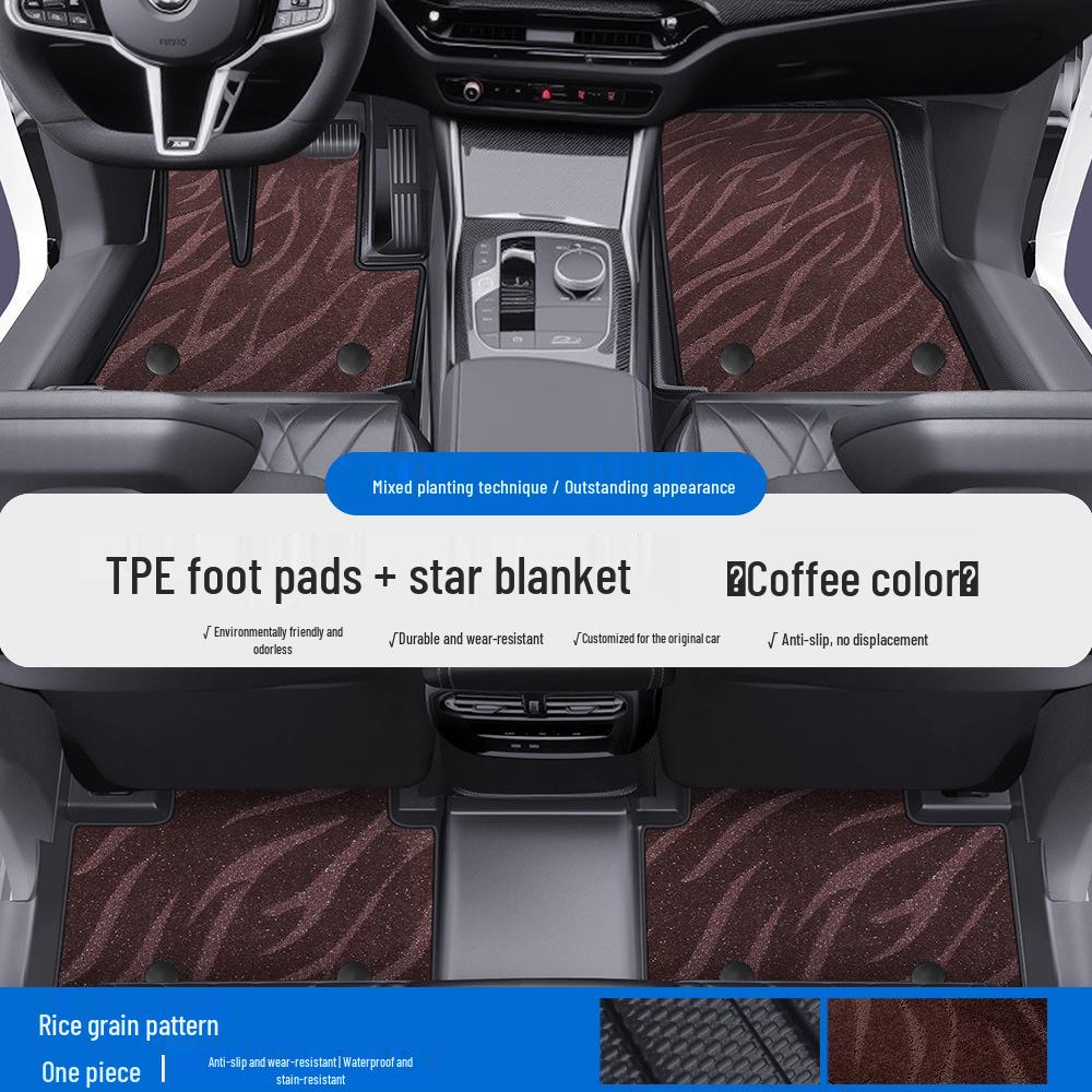 Fits BMW X1, X2, X3, X5, 1, 3, 5 Series & MINI: TPE Car Floor Mats & Door Sill Protection. Full Coverage.