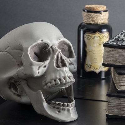 Skull Ornament Creative Delicate Realistic Human Skull Statue Head Bone Model for Party