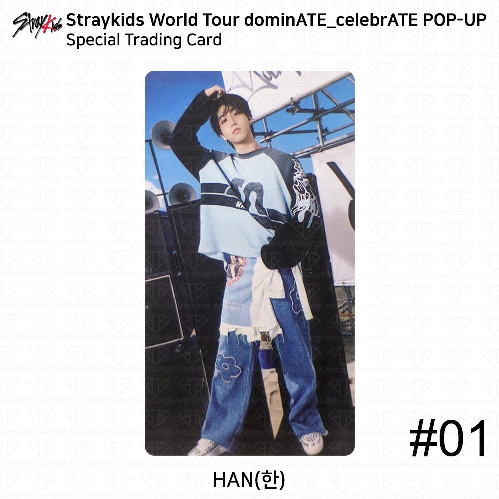 

Stray Kids Мировой тур DominATE CelebrATE POP-UP Специальная торговая карта KPOP K-POP Han #1