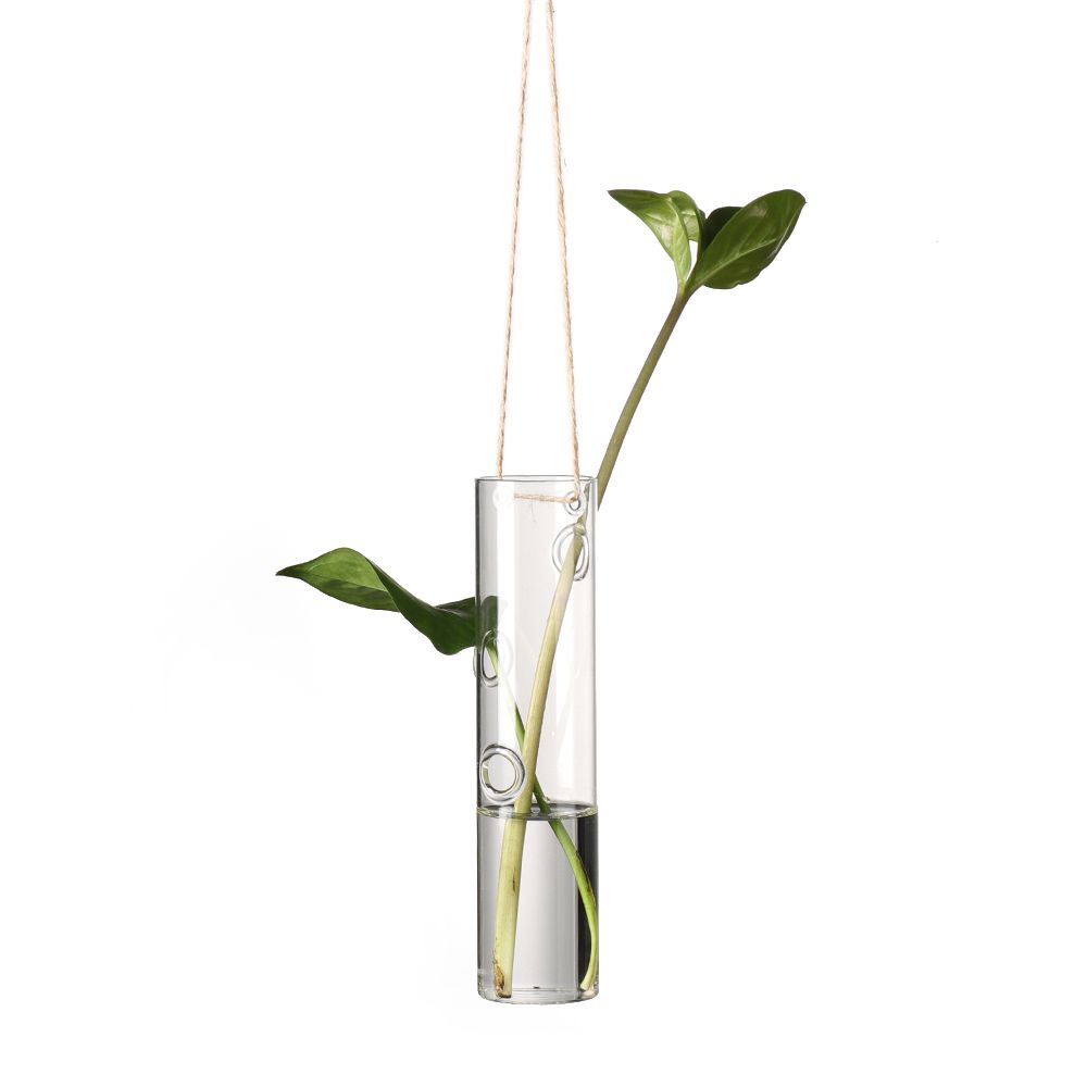 Flower Garden Supplies Creative Hydroponics Terrarium Container Hanging Glass Plant Pot Glass Vase