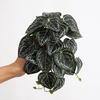 Artificial Amphibian Plants Terrarium Leaves Habitat Decor for Iguana for Turtle