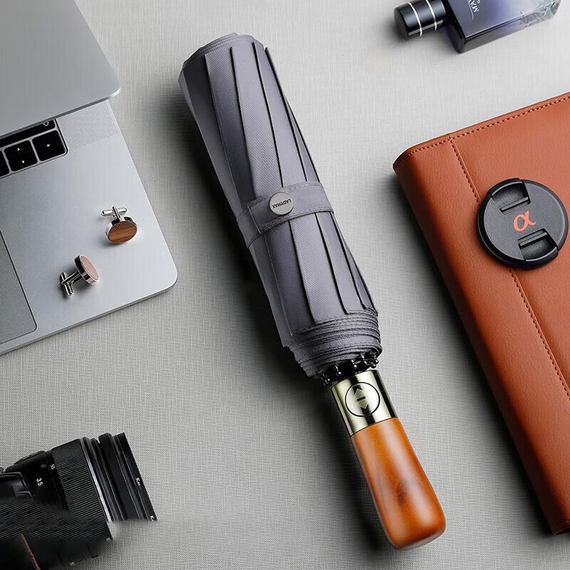 ZUODU Automatic 10-Rib Windproof Folding Umbrella