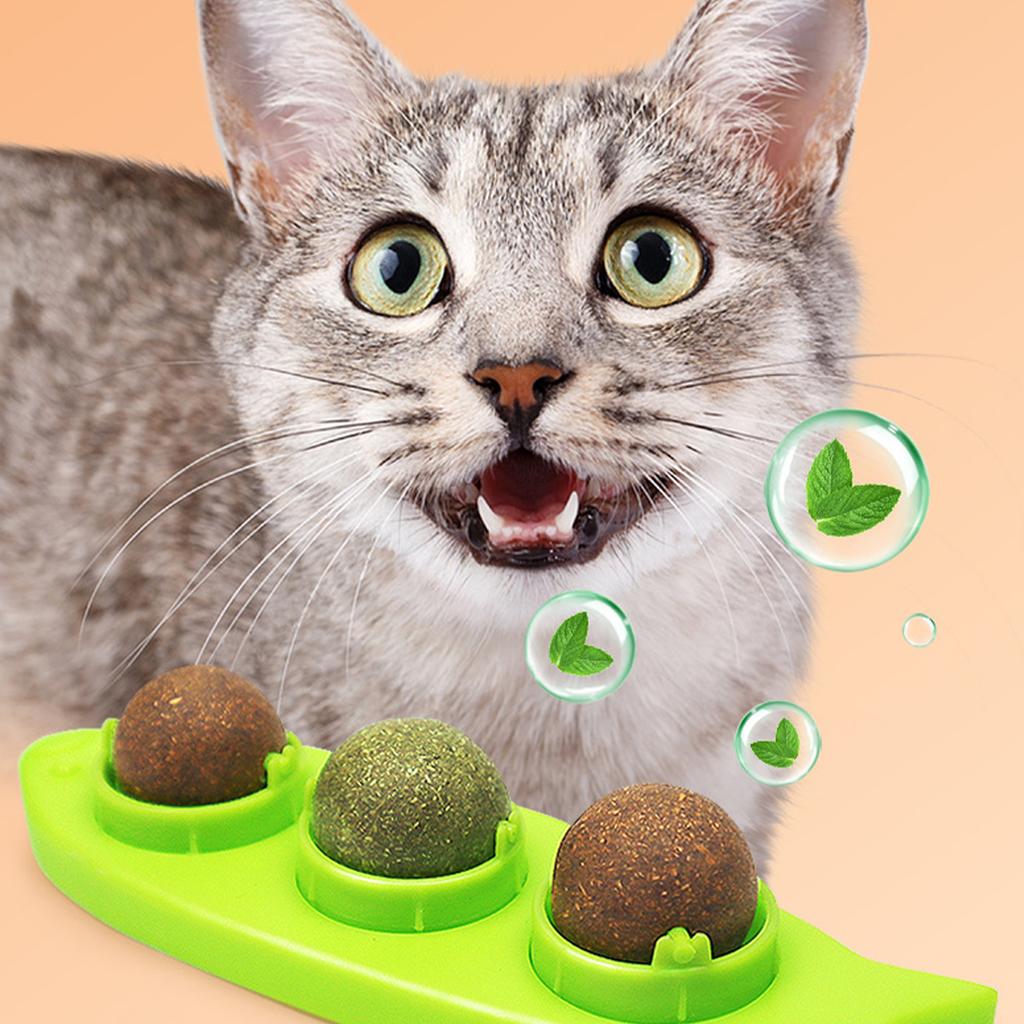 Catnip Wall Ball Licking Snacks Healthy Nutrition Ball Teeth Cleaning Catnip Toy for Cats Clean Mouth Promote Digestion Indoor