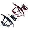 Horse Halter Set Prevent Rubbing Adjustable Horse Training Halter with 2m Horse Leash for Training D