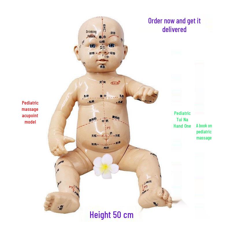 Pediatric Tui Na Acupoint Model Doll for Children PVC