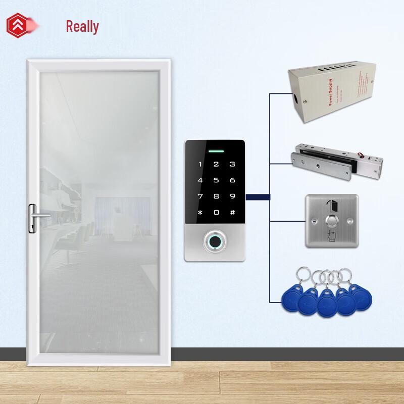 Realand X501 Outdoor Waterproof Fingerprint Access Control System CN plug (adapter included)