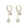 Light Luxury Fashion Earrings Super Flash Zircon Ball Fringed Ear Buckle Temperament Design Exquisite Versatile Earrings