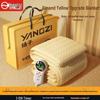 Yangzi Dual-Control Hydronic Electric Blanket for Dorms and Homes