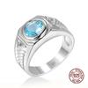Men Lab Aquamarine Zircons Blue Zircon Rings for Men Vintage Luxury  Sterling Silver Wedding  Bijoux Bague for Gifts