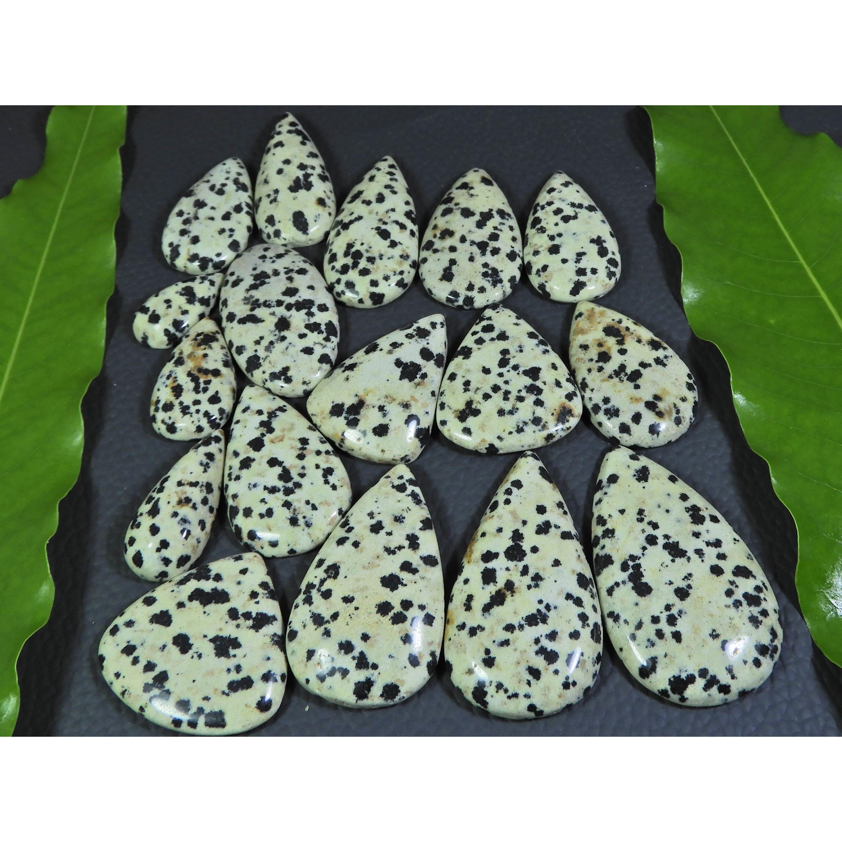 

403Cts. Natural Dalmation Jasper Pear Cabochon Loose Gemstone 17 Pcs Lot A-376