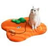 Cat Bed Mats Orange Small Dog Floor Mat Washable Pet Bed for Indoor Relaxation Apartment Living Room Kitchen Home Daily Rest